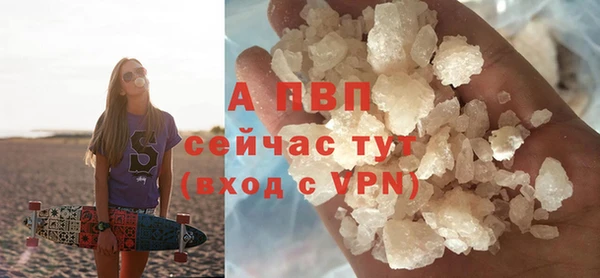 скорость Ладушкин
