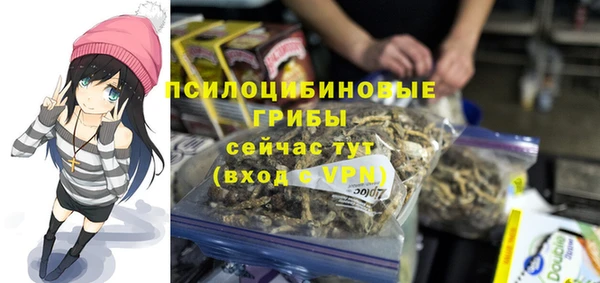 хмурый Лагань