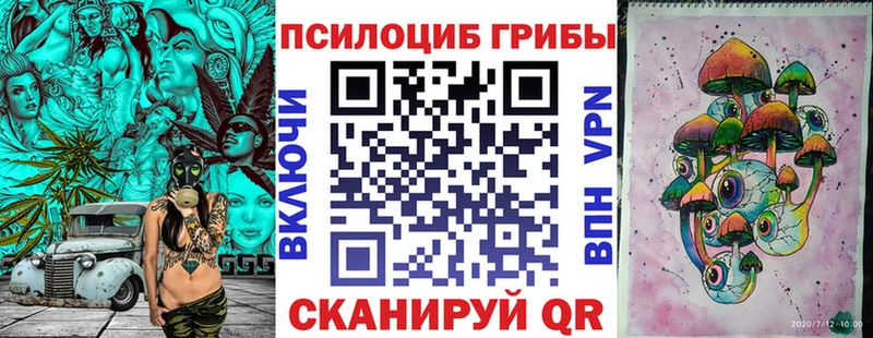 Псилоцибиновые грибы мицелий Купить закладки Черноголовка